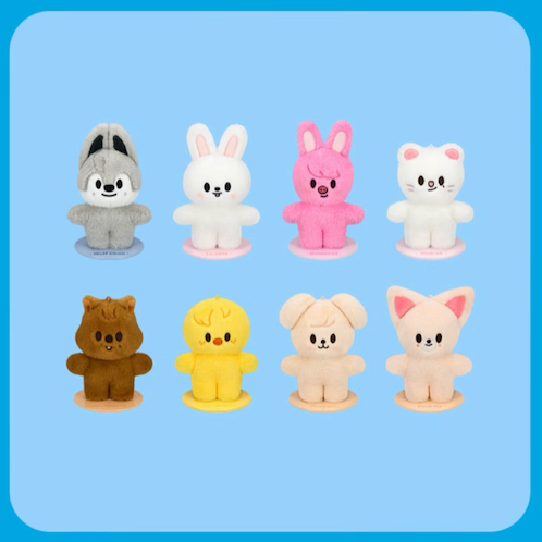 Stray Kids Encore POP-UP | Member