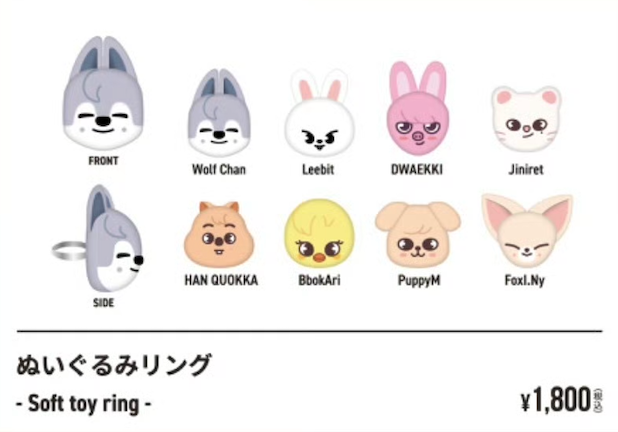 Straykids Exhibition Merch --Member