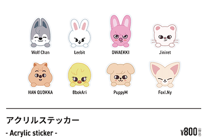 Straykids Exhibition Merch --Member