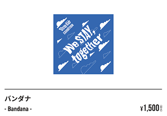 Straykids Exhibition Merch --General