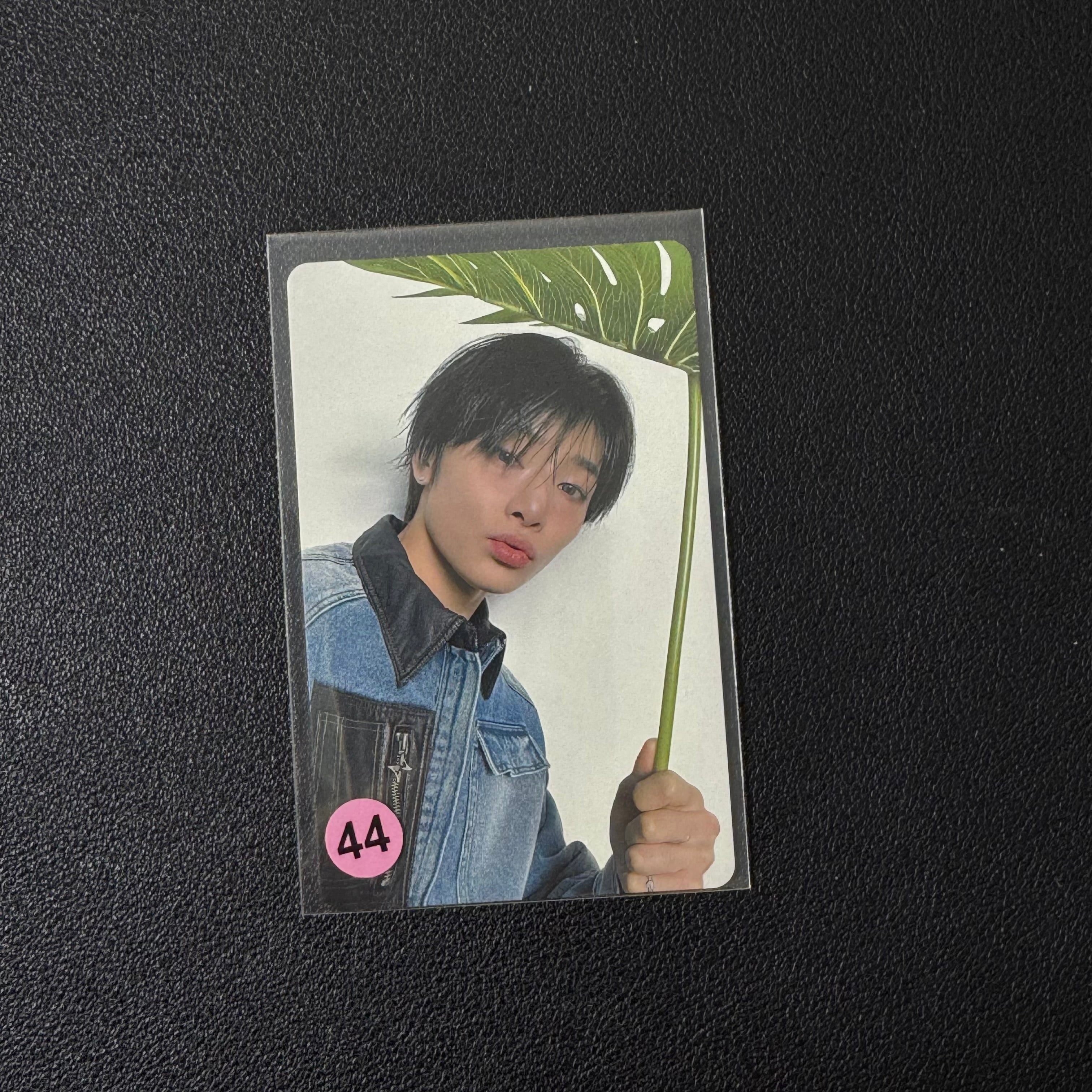 I.N PC Collection