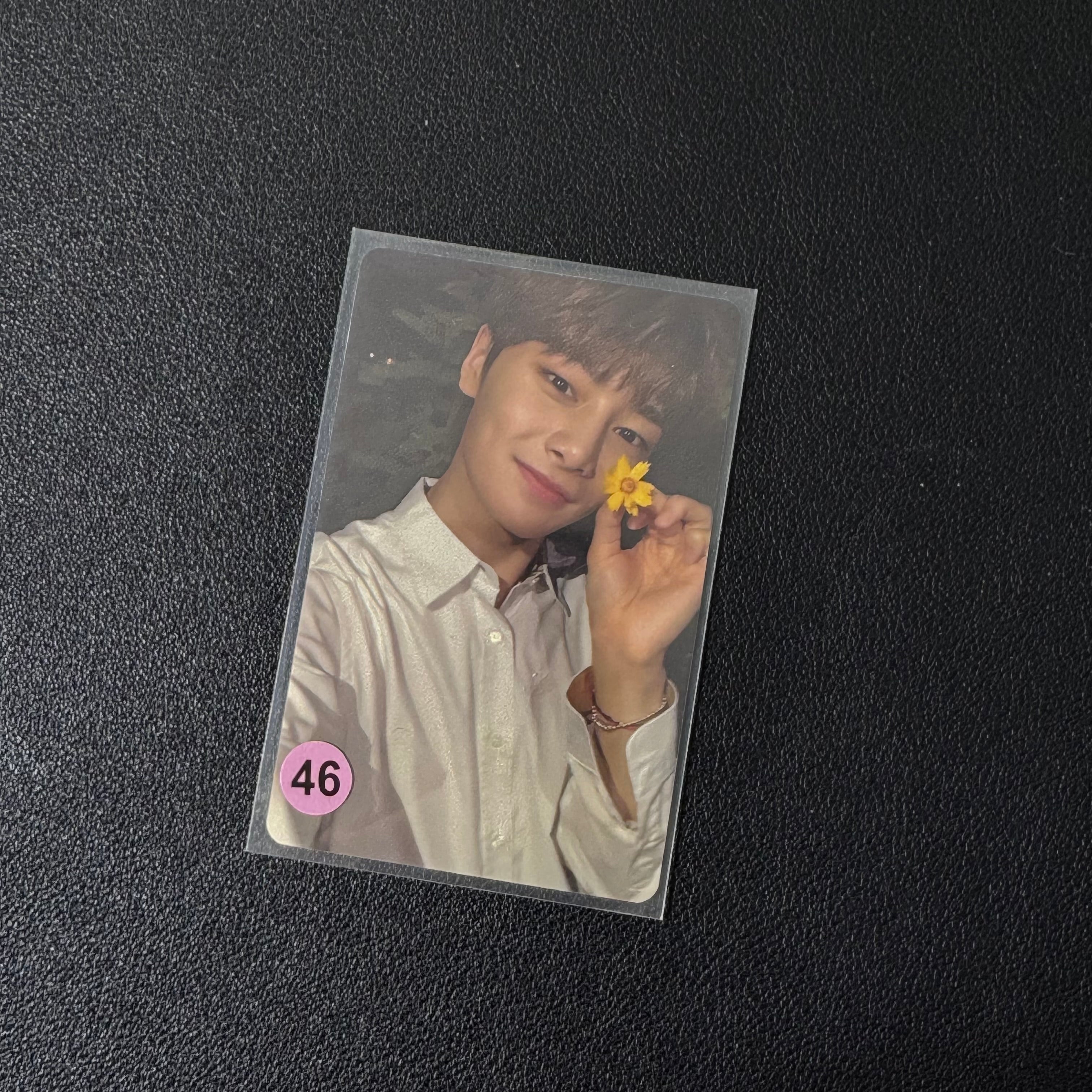 I.N PC Collection