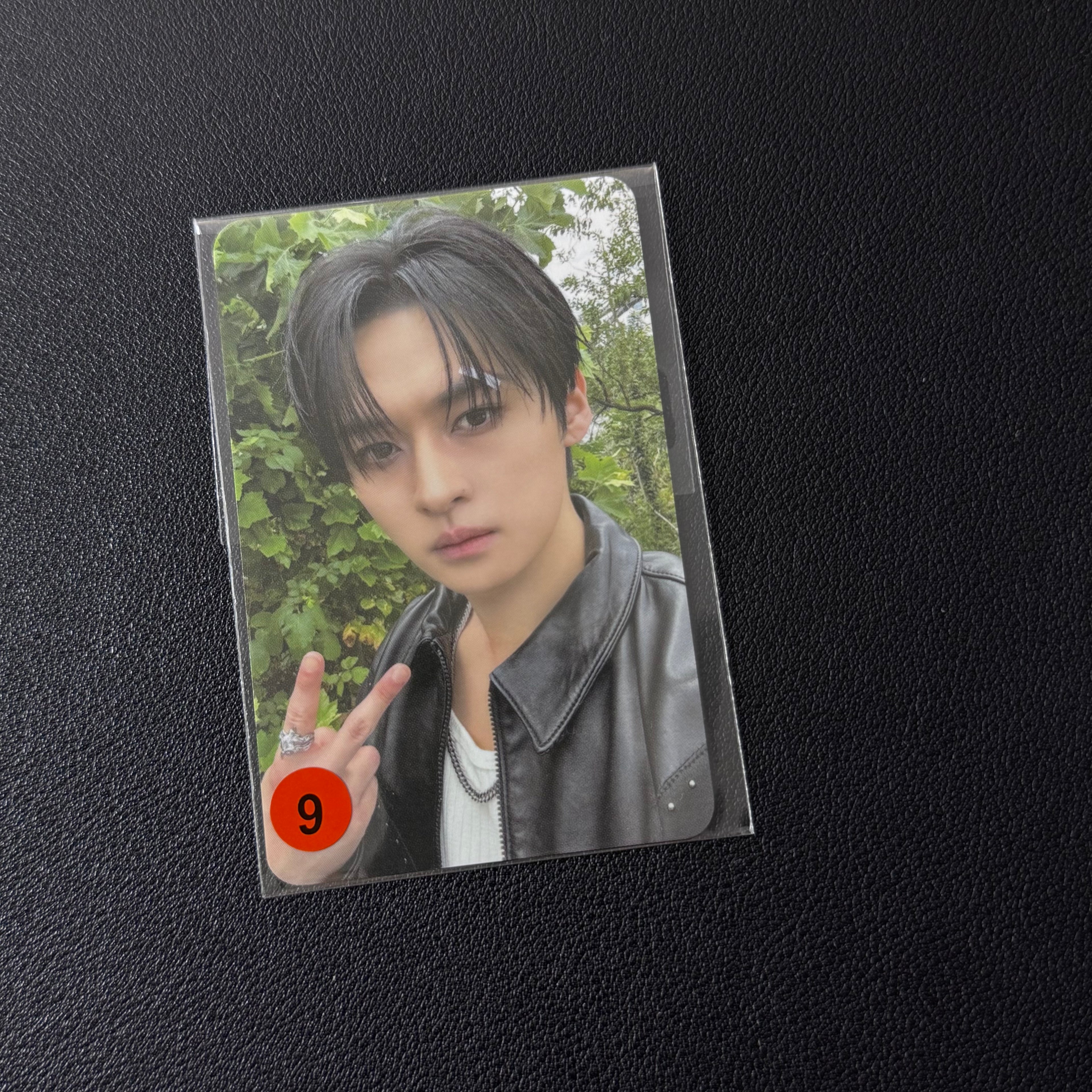 Leeknow PC Collection