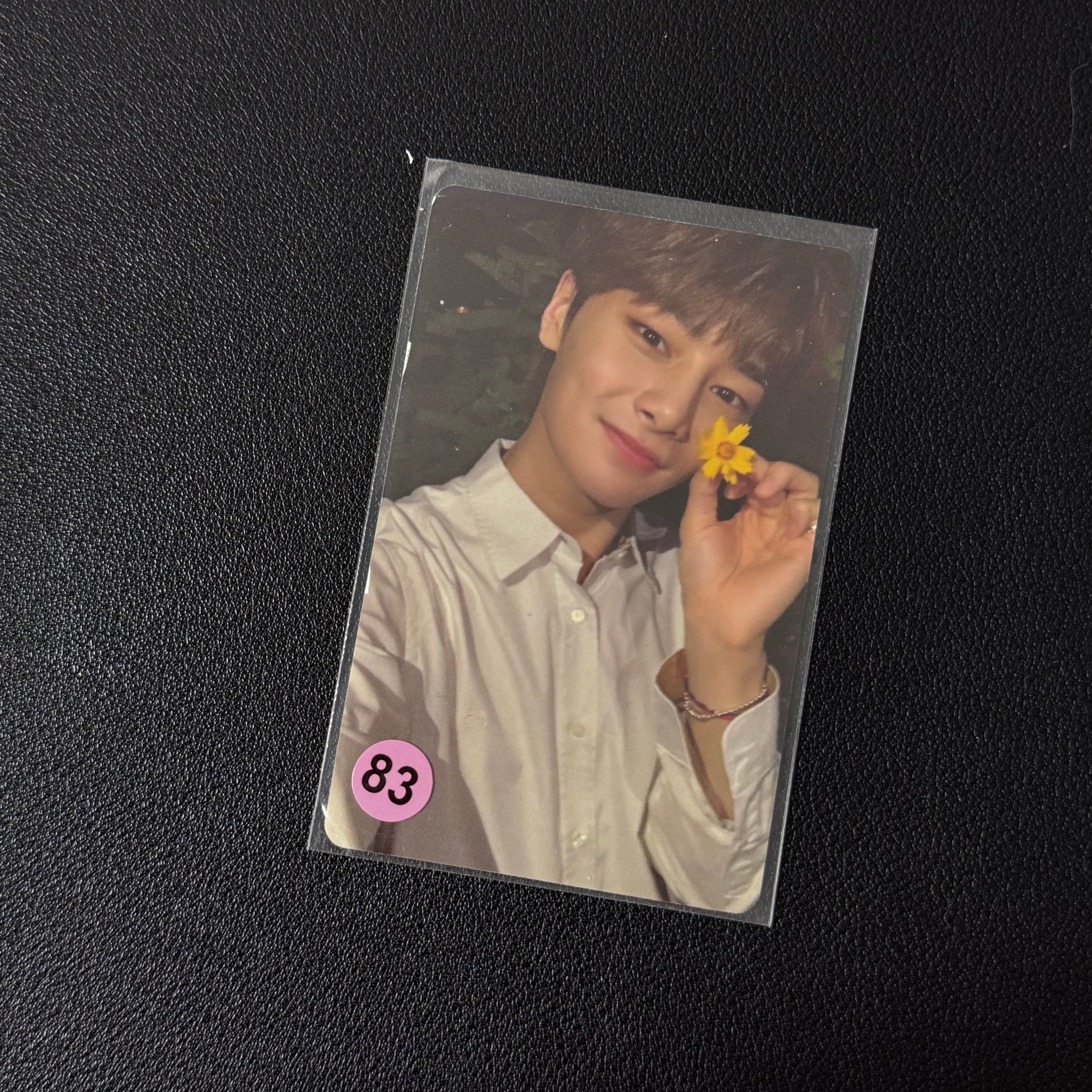 I.N PC Collection
