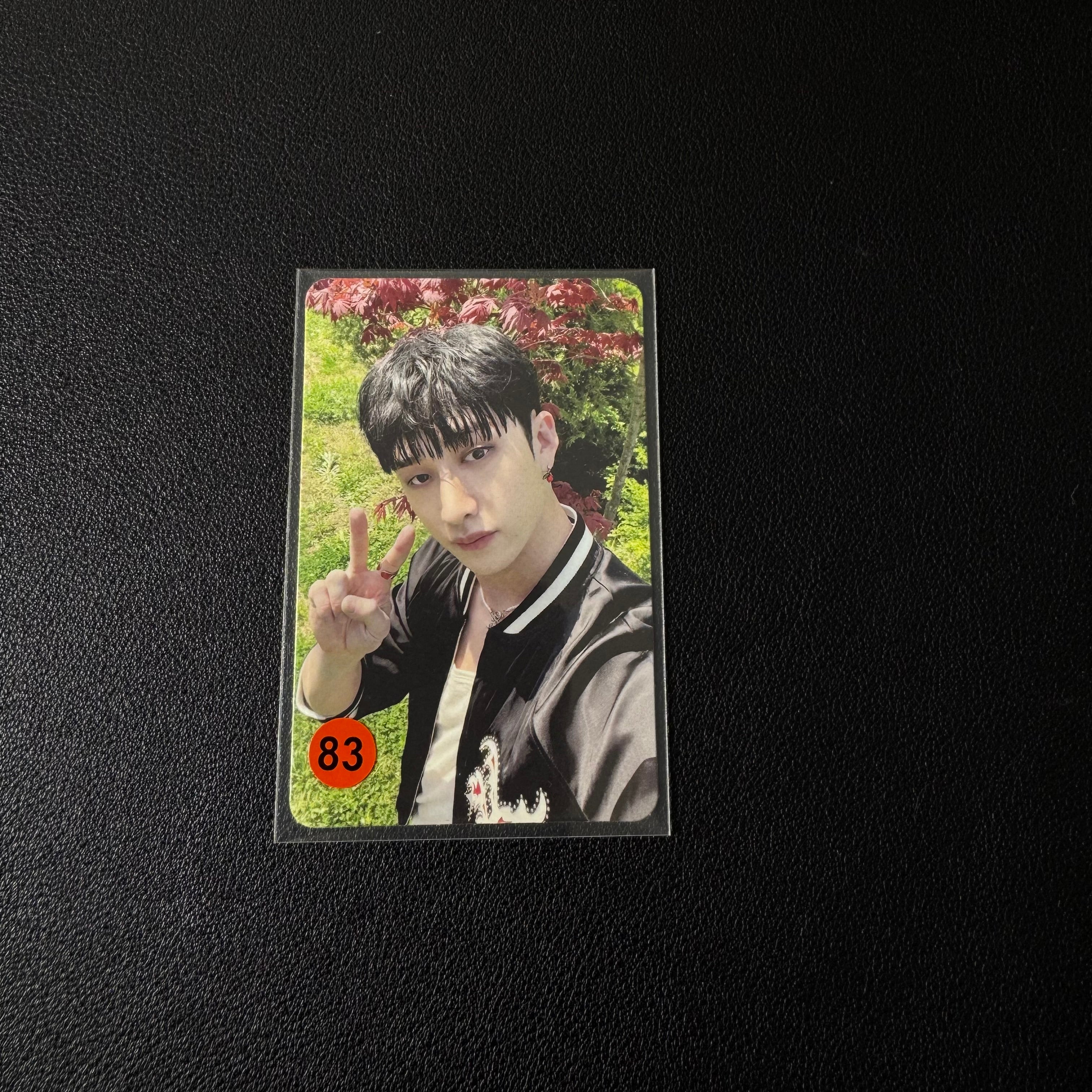 Bangchan PC Collection