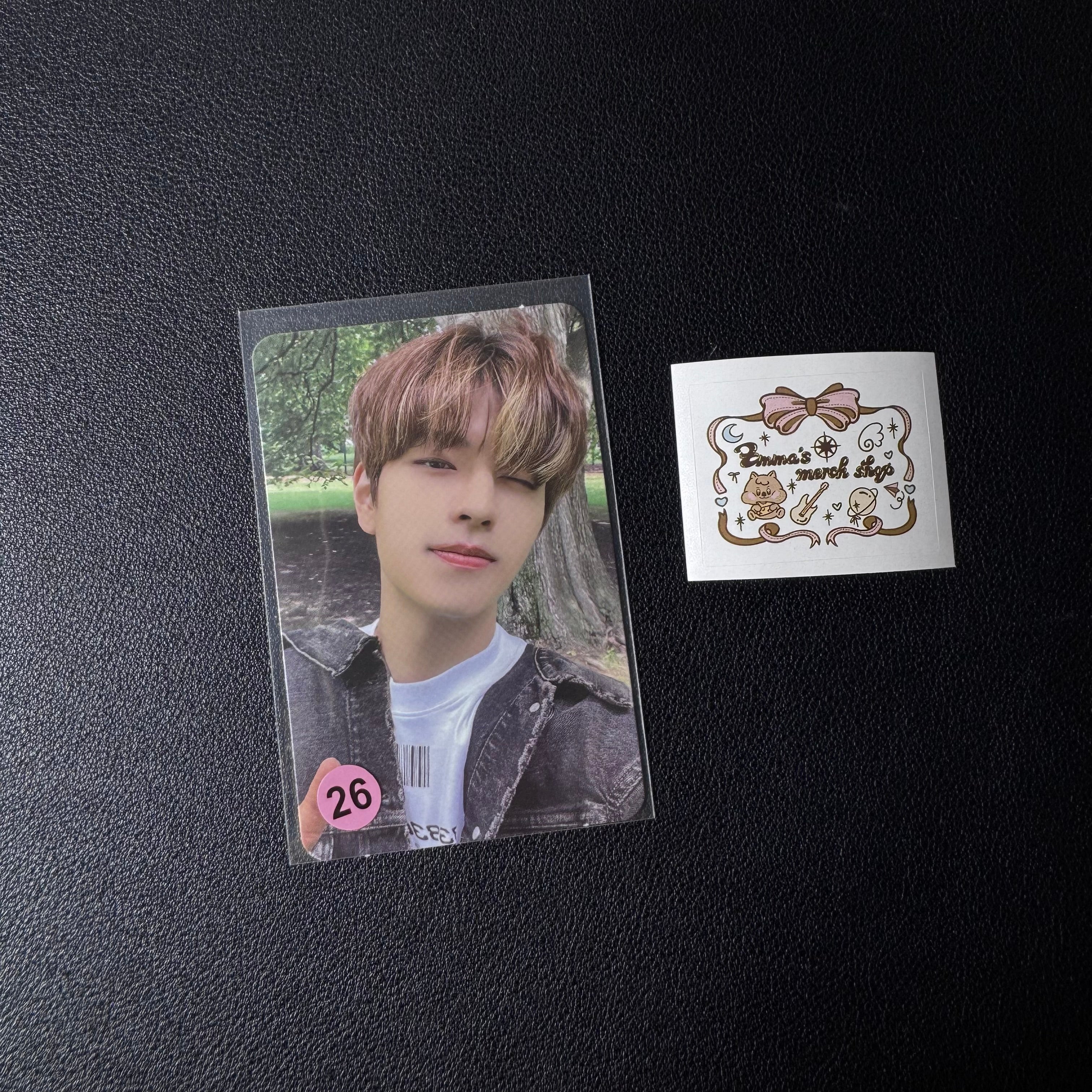 Seungmin PC Collection