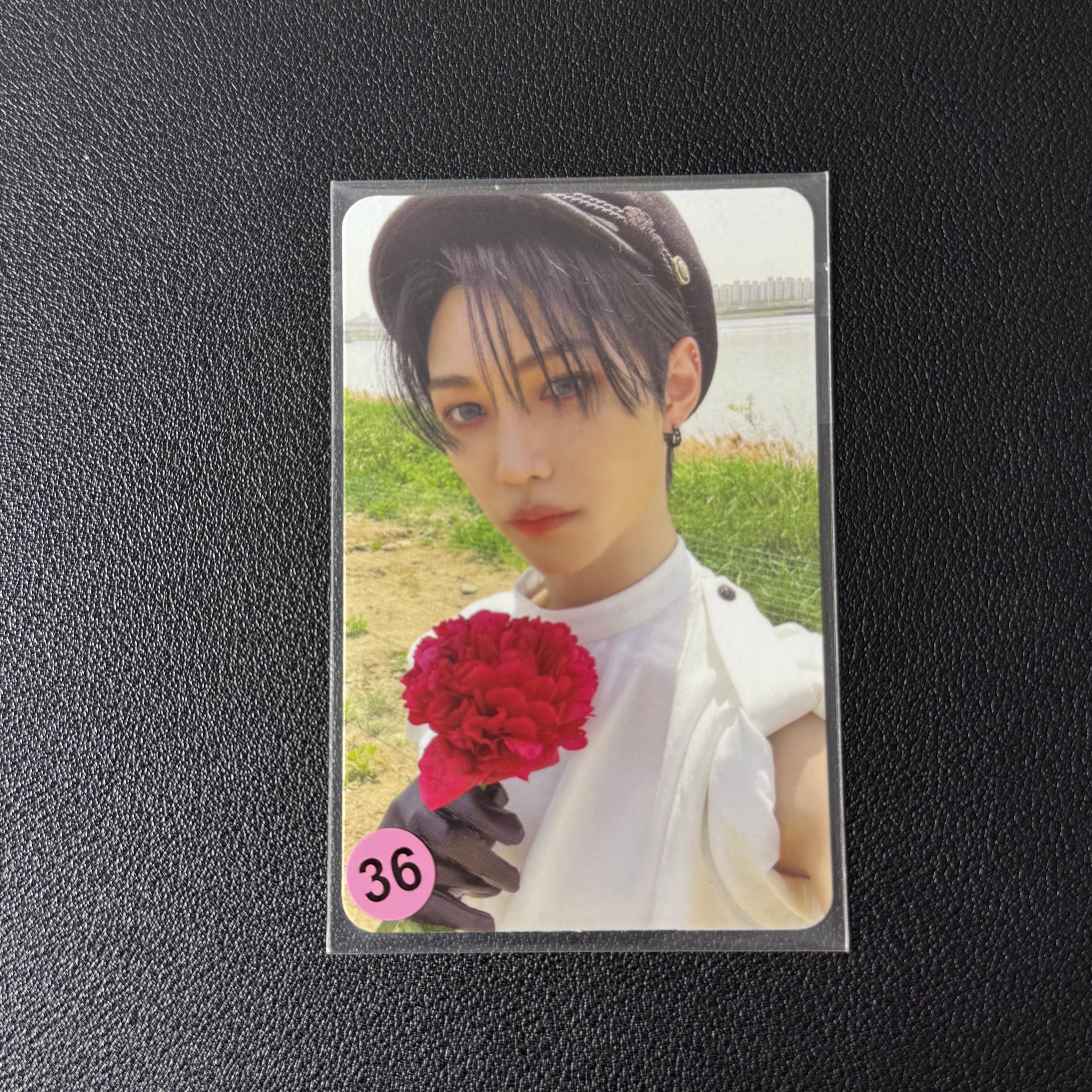 Felix PC Collection
