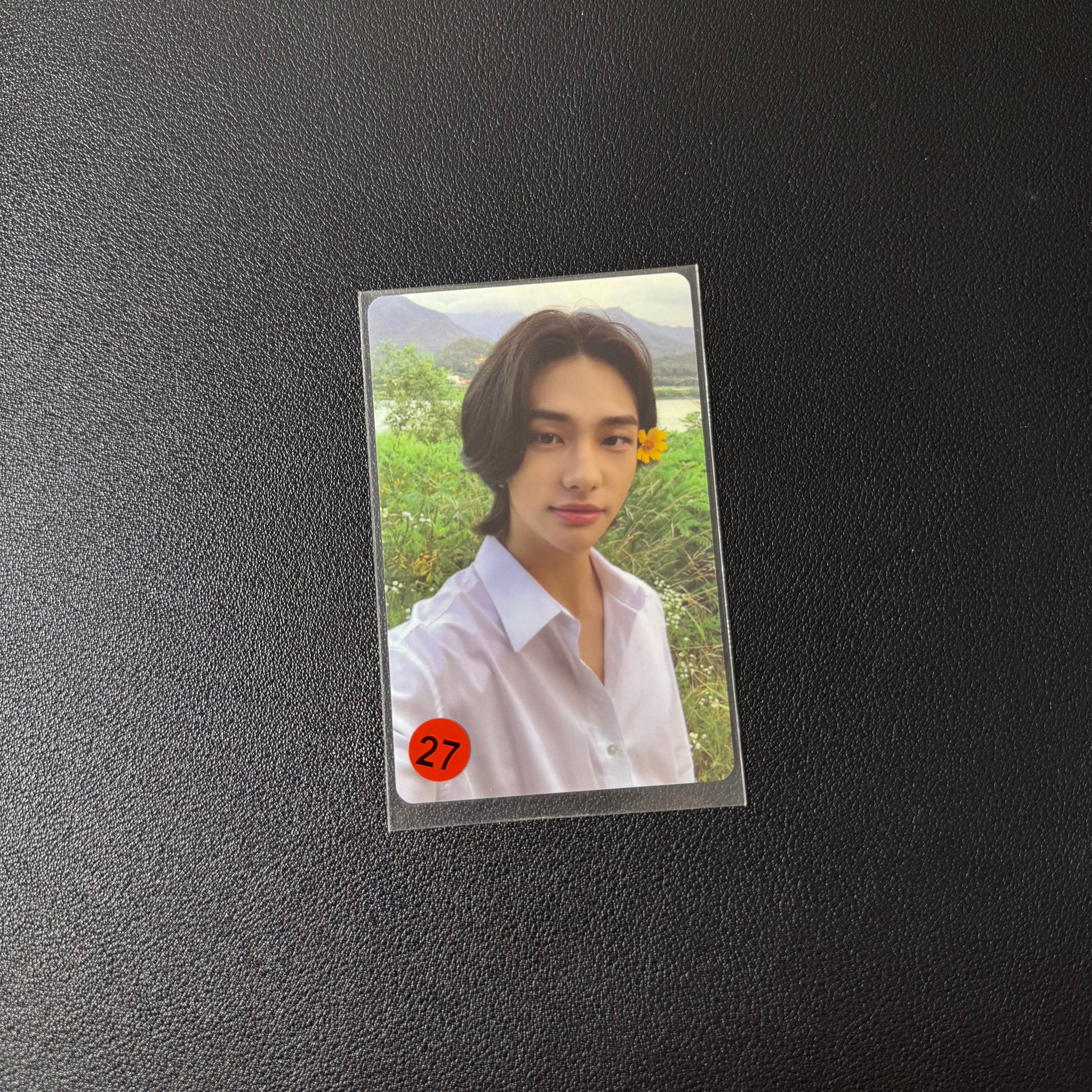 Hyunjin PC Collection
