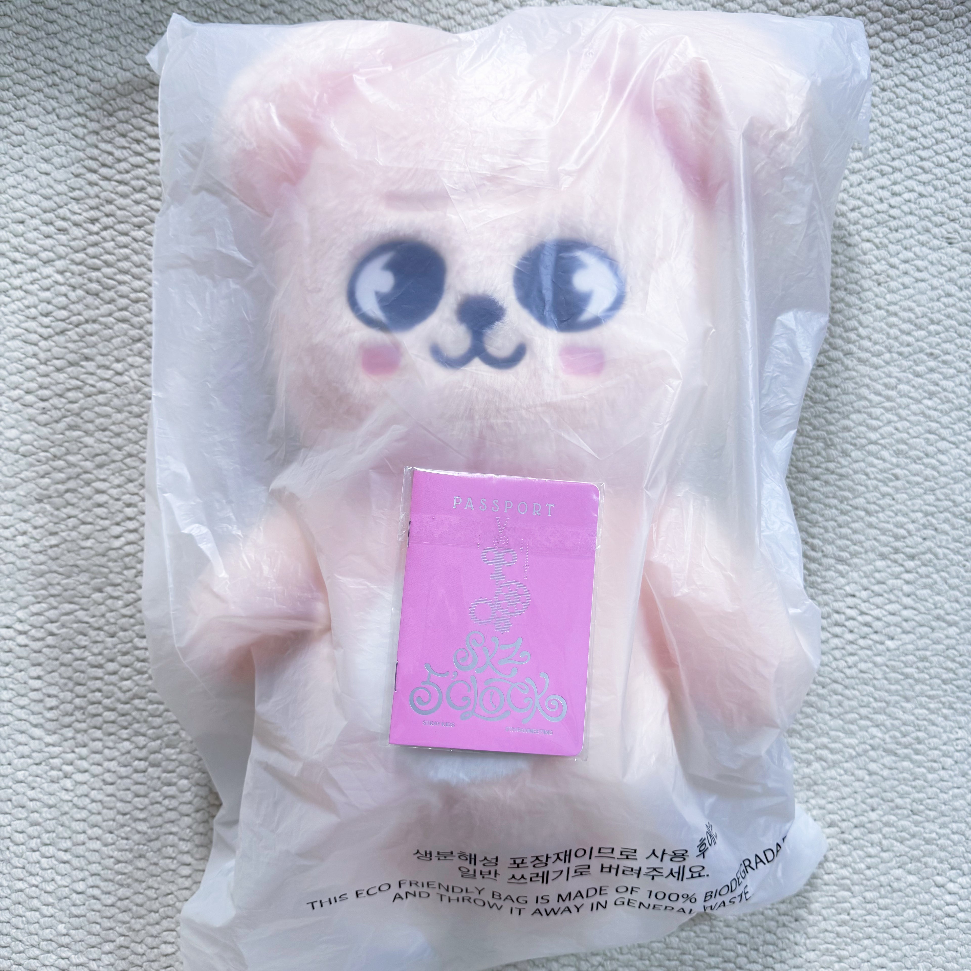 TeddyBear SKZOO