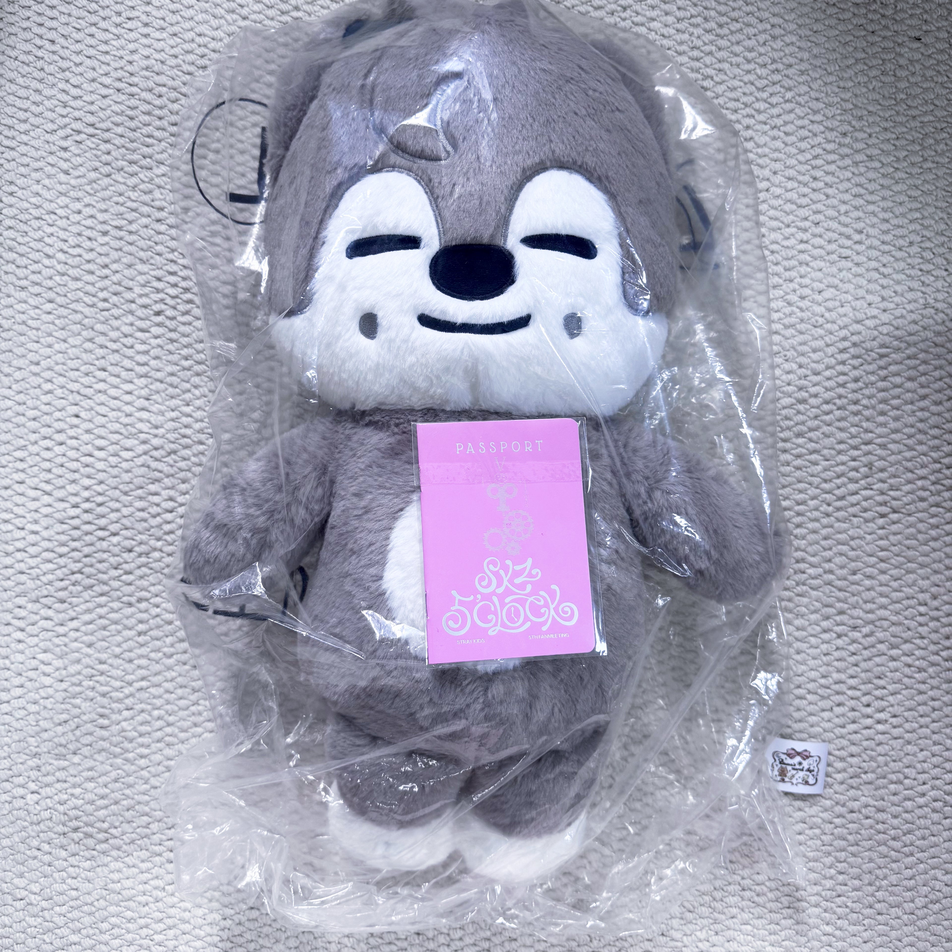 TeddyBear SKZOO