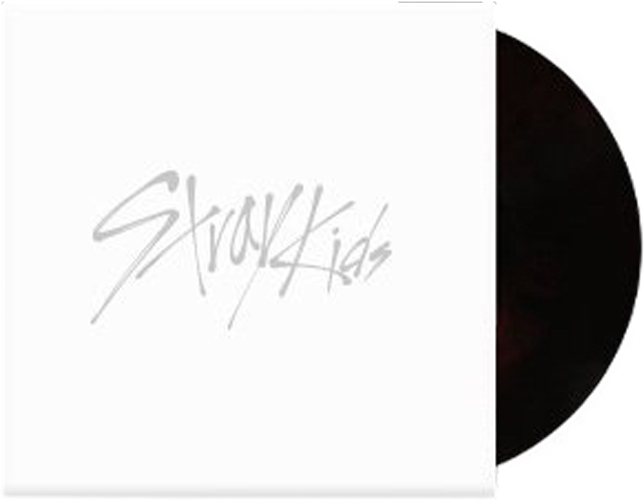 [PRE-ORDER]Stray Kids "THIS & THAT" VINYL