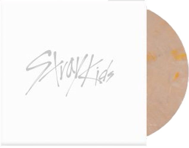 [PRE-ORDER]Stray Kids "THIS & THAT" VINYL