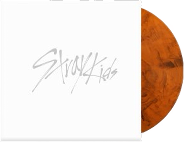 [PRE-ORDER]Stray Kids "THIS & THAT" VINYL
